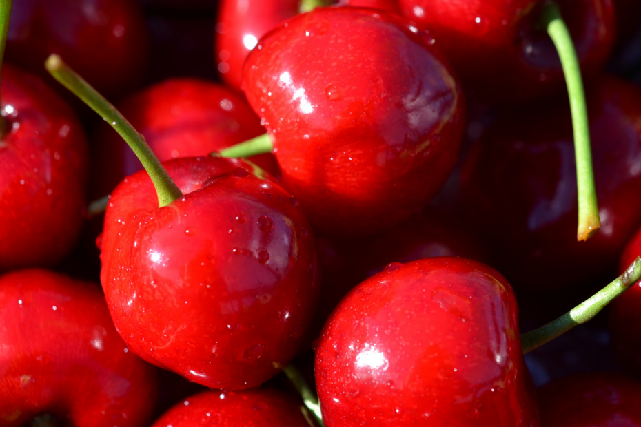 close up of shiny red cherries